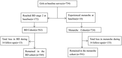 The influence of the trajectory of obesity indicators on the age of pubertal onset and pubertal tempo in girls: A longitudinal study in Chongqing, China